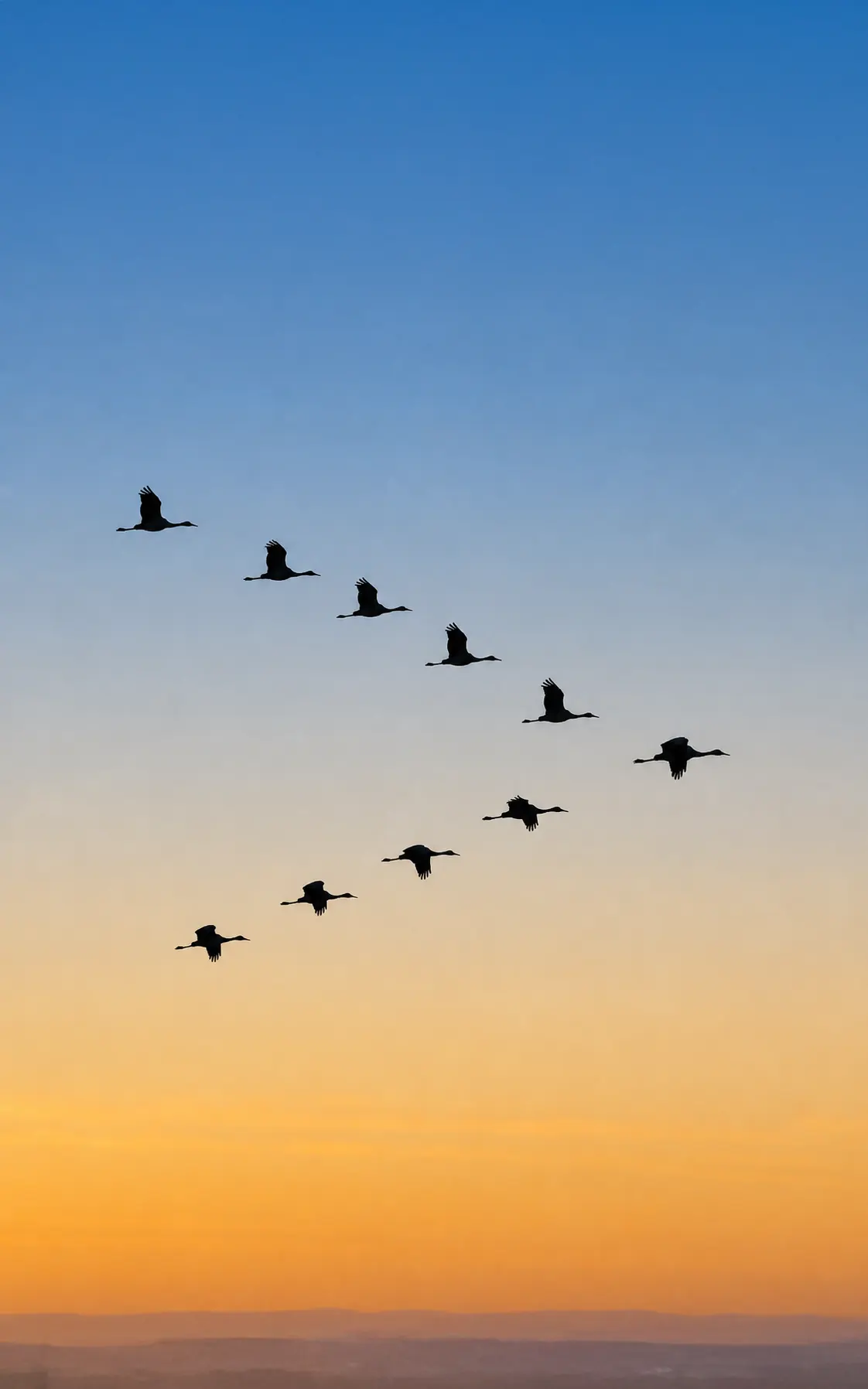 Bandada de aves en formación